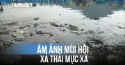 Rùng mình nước thải đen đặc bốc mùi hôi thối từ đầm dê giữa lòng phố