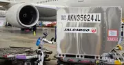 Robot hình người chính thức 'đi làm' tại sân bay Tokyo, chuẩn bị thay con người xử lý hành lý