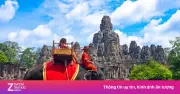 Sự bất lực tập nhiễm: Bài học từ những con voi ở Angkor Wat