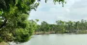 Sau 5 năm ly hôn, tôi lặng người khi biết tin về chồng cũ