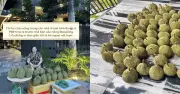 Sạp sầu riêng trước biệt thự 80 tỷ ở Phú Mỹ Hưng gây sốt mạng
