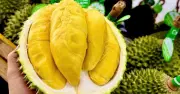 Sầu riêng phổ thông rẻ như bèo, cao cấp vẫn đắt khách ở TP.HCM