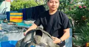 Từ 40 triệu đồng, chàng trai Cần Thơ đổi đời nhờ nuôi cử đinh
