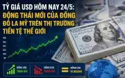 Tỷ giá ngoại tệ hôm nay 24/5: USD, EUR, JPY tại các ngân hàng