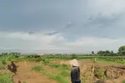 Đất nông nghiệp ở Hưng Yên bị móc trộm hàng nghìn mét khối