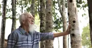 Từ vùng bưởi tiến vua đến 'thủ phủ' trầm hương: Hành trình 'thuần hóa' cây dó bầu