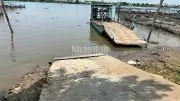 Tai nạn thương tâm tại bến phà Đồng Tháp, một người tử vong