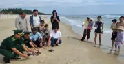 Thả 3 cá thể rùa xanh quý hiếm về biển Cồn Cỏ