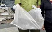 Thả kỳ đà vân quý hiếm về tự nhiên tại Khu dự trữ Phong Điền