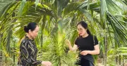 Thủ khoa đại học bỏ phố về quê nuôi 1.500 con gà, phát triển đầm tôm 6.000m2