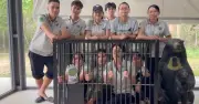 Thử thách ngủ trong lồng sắt: Trải nghiệm đau đớn của gấu bị nuôi lấy mật