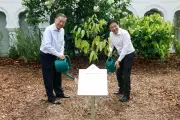 Thủ tướng Singapore đăng ảnh trồng cây cùng Tổng Bí thư, Chủ tịch nước Tô Lâm