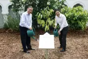 Thủ tướng Singapore đăng video hội đàm trồng cây với Tổng Bí thư, Chủ tịch nước Tô Lâm