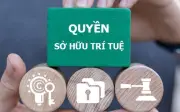 Thủ tướng yêu cầu tăng cường thực thi quyền sở hữu trí tuệ từ ngày 7/5/2026