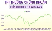 Thị trường chứng khoán tuần qua: Áp lực giảm lan rộng, khối ngoại bán ròng mạnh