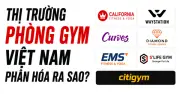 Thị trường gym chuỗi Việt Nam biến động: Waystation nổi lên, chuỗi truyền thống thu hẹp
