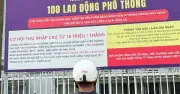 Thị trường lao động lệch pha: Cử nhân thất nghiệp, doanh nghiệp khát nhân lực