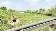 Thanh Hóa chủ động chống hạn và xâm nhập mặn bảo vệ sản xuất vụ mùa
