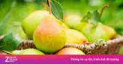 Thực phẩm giàu chất xơ số một cho trẻ: lợi ích và danh sách chi tiết