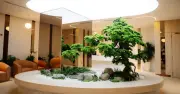 Thực trạng báo động từ thẩm mỹ phi y khoa: Rủi ro biến chứng khôn lường