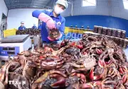 Để thương hiệu Việt tham gia sâu hơn vào thị trường khu vực và toàn cầu