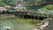 Tháo đập ngăn suối Khe Sứ, trả lại dòng chảy tự nhiên