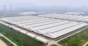 Thịt bò tươi ủ mát Niku-Ichi làm nức lòng thực khách sành ăn