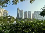Tài sản thế chấp ngân hàng thuộc diện giải tỏa nghĩa vụ người đi vay