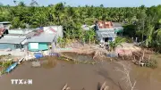 Tìm giải pháp hữu hiệu ứng phó sạt lở bờ sông, bờ kênh