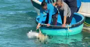 Tìm thấy thi thể thợ hàn mất tích trong vụ cháy tàu dầu ở Lâm Đồng