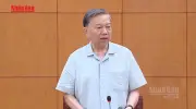 Tổng Bí thư, Chủ tịch nước Tô Lâm: Phát triển công nghiệp vật liệu xanh, bền vững, tự chủ