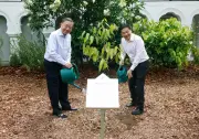 Tổng Bí thư, Chủ tịch nước Tô Lâm trồng cây tại Vườn Bách thảo Singapore