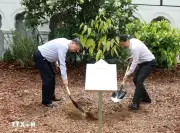 Tổng Bí thư, Chủ tịch nước và Thủ tướng Singapore dự lễ trồng cây