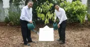 Tổng Bí thư Tô Lâm và Thủ tướng Singapore trồng cây hữu nghị tại Vườn Bách thảo