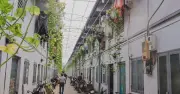 TP.HCM ban hành chính sách mới cho nhà trọ dưới 7 tầng, dưới 20 phòng