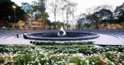 TP.HCM dừng xây chung cư cao tầng ở trung tâm, ưu tiên làm công viên
