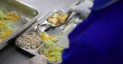 TP.HCM kiểm tra an toàn thực phẩm trường học: Phát hiện nước đá nhiễm khuẩn
