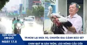 TP.HCM mưa lớn 2 ngày, cành cây ngã đổ; Vườn chim Hai Chìa kêu cứu