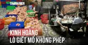 TP.HCM: Phát hiện 1 tấn gà không rõ nguồn gốc, nguy cơ mất an toàn thực phẩm