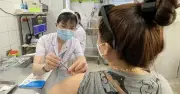 TP.HCM yêu cầu quyết liệt phòng chống bệnh dại, xử phạt chủ nuôi vi phạm