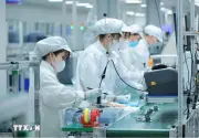 Trí thức kiều bào kỳ vọng vào đột phá hợp tác công nghệ Việt Nam - Singapore