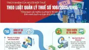 Trách nhiệm người nộp thuế theo Luật Quản lý thuế mới nhất