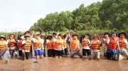 Trồng 1ha rừng ngập mặn tại Vĩnh Long: Lá chắn xanh ứng phó biến đổi khí hậu