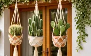 Trồng 2 cây này trước nhà: Gia chủ đỡ vận xui, xua đuổi xui xẻo, nhưng cần lưu ý đặc biệt