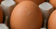 Trứng nứt lâu, rò rỉ hay có mùi lạ nên bỏ ngay