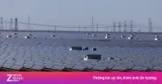 Trung Quốc xuất khẩu tấm pin mặt trời kỷ lục trong tháng 3