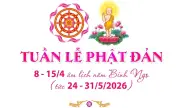 Tuần lễ Phật Đản 2025: Các hoạt động Phật giáo trọng tâm