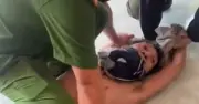 Tây Ninh: Người cha sát hại vợ và con 2 tháng tuổi rồi chém cha mẹ ruột