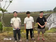 Tây Ninh tạm giữ các đối tượng nhập cảnh trái phép từ nước ngoài vào Việt Nam