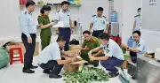 Tây Ninh triệt phá đường dây sản xuất dầu gió giả quy mô lớn